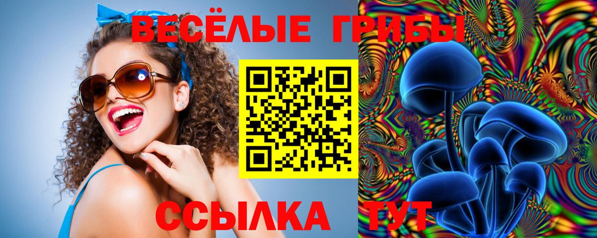 Галлюциногенные грибы прущие грибы Екатеринбург