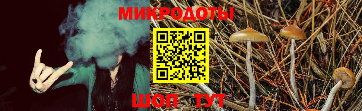 Галлюциногенные грибы Psilocybe  Вход с VPN  Екатеринбург  Галлюциногенные грибы MAGIC MUSHROOMS 